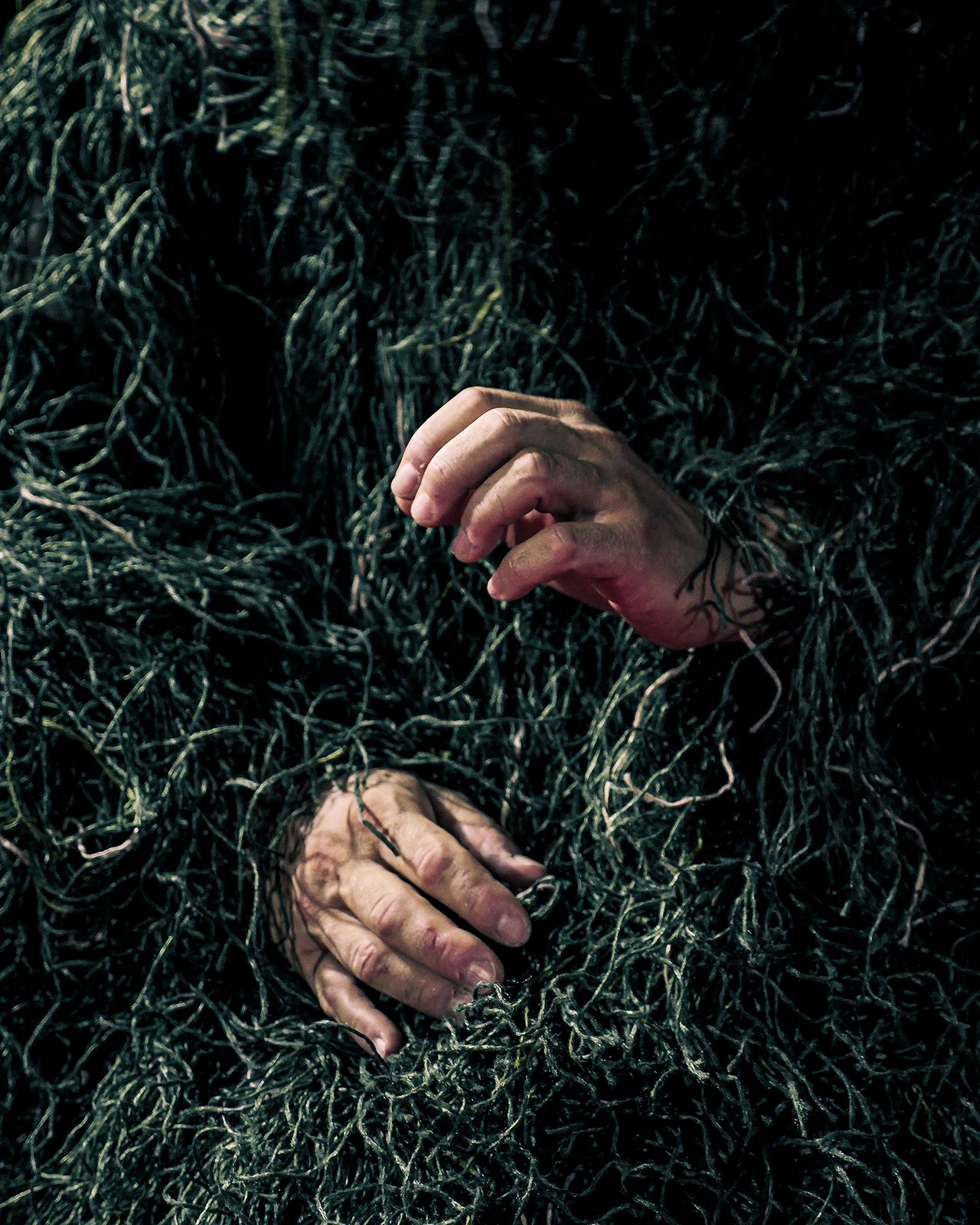 Two hands emerging from a tangle of dark green fibres
